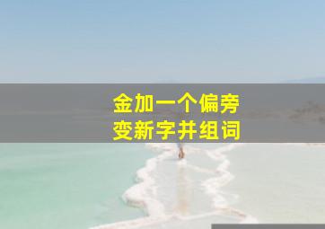 金加一个偏旁变新字并组词