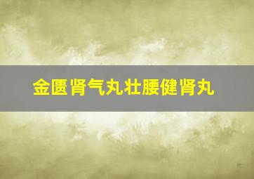 金匮肾气丸壮腰健肾丸