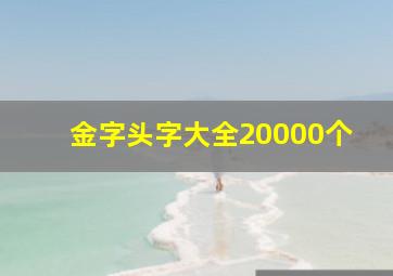 金字头字大全20000个