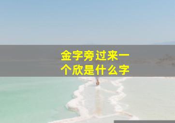 金字旁过来一个欣是什么字