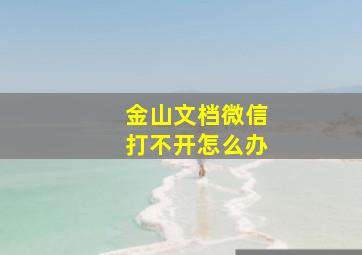 金山文档微信打不开怎么办