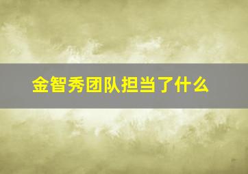 金智秀团队担当了什么