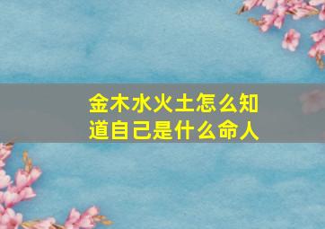 金木水火土怎么知道自己是什么命人