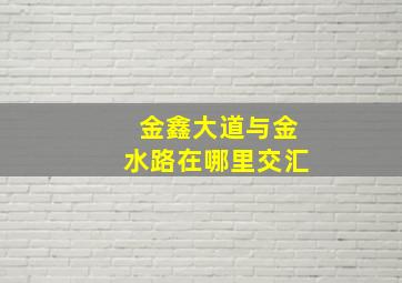 金鑫大道与金水路在哪里交汇