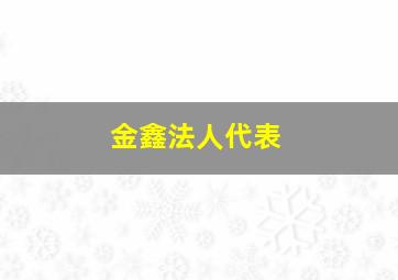 金鑫法人代表