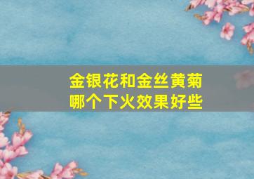 金银花和金丝黄菊哪个下火效果好些