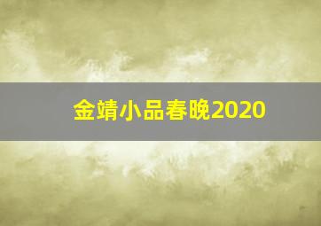 金靖小品春晚2020