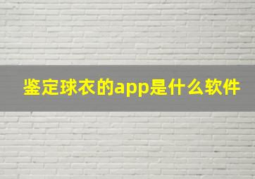 鉴定球衣的app是什么软件