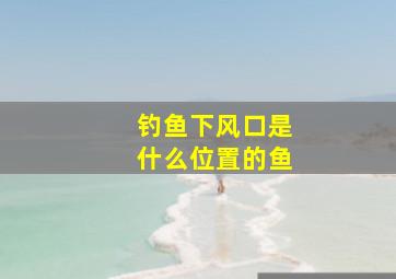 钓鱼下风口是什么位置的鱼