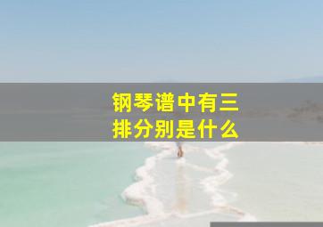 钢琴谱中有三排分别是什么