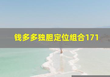 钱多多独胆定位组合171