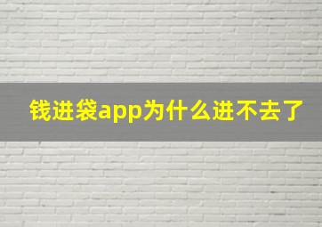 钱进袋app为什么进不去了