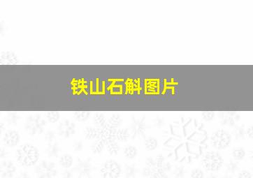 铁山石斛图片