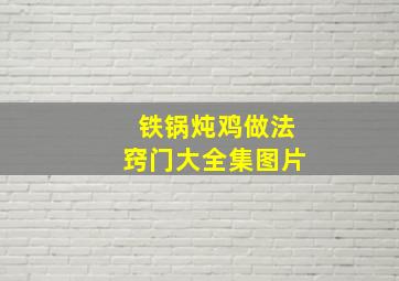 铁锅炖鸡做法窍门大全集图片