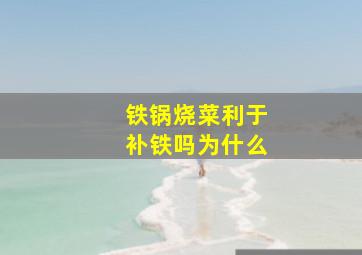 铁锅烧菜利于补铁吗为什么