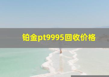 铂金pt9995回收价格