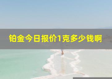 铂金今日报价1克多少钱啊