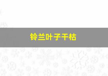 铃兰叶子干枯