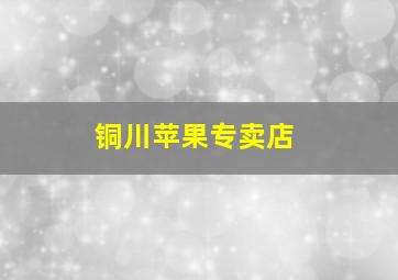 铜川苹果专卖店