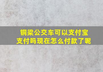 铜梁公交车可以支付宝支付吗现在怎么付款了呢