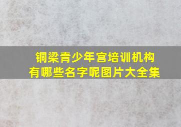 铜梁青少年宫培训机构有哪些名字呢图片大全集