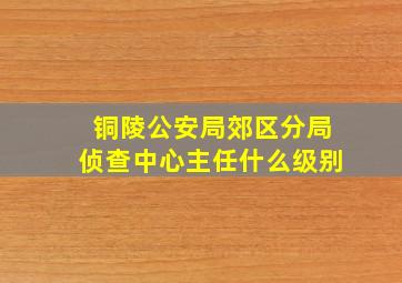 铜陵公安局郊区分局侦查中心主任什么级别