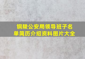 铜陵公安局领导班子名单简历介绍资料图片大全