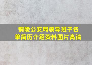 铜陵公安局领导班子名单简历介绍资料图片高清