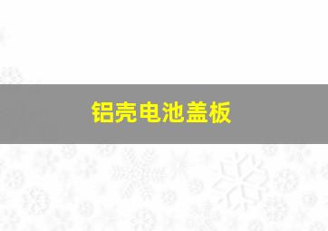 铝壳电池盖板