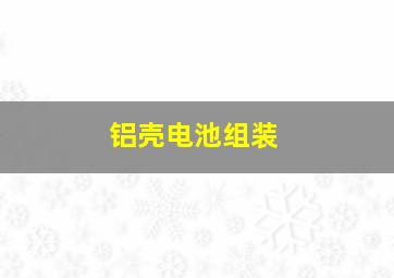 铝壳电池组装