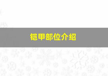 铠甲部位介绍