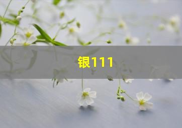 银111