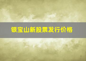 银宝山新股票发行价格