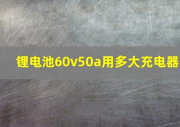 锂电池60v50a用多大充电器