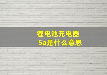 锂电池充电器5a是什么意思