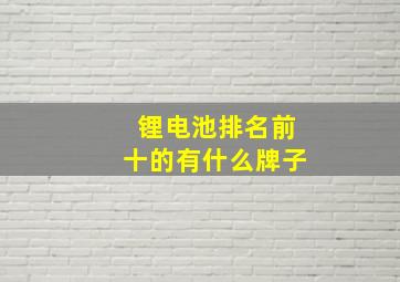 锂电池排名前十的有什么牌子