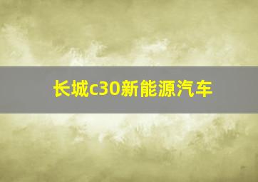 长城c30新能源汽车