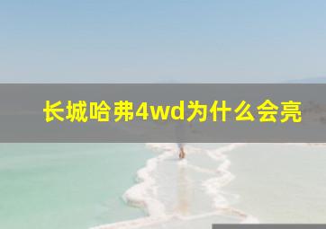 长城哈弗4wd为什么会亮