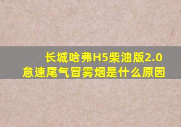 长城哈弗H5柴油版2.0怠速尾气冒雾烟是什么原因