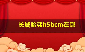 长城哈弗h5bcm在哪