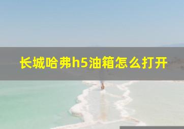 长城哈弗h5油箱怎么打开