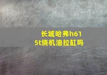 长城哈弗h615t烧机油拉缸吗