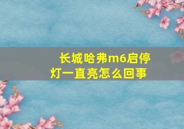 长城哈弗m6启停灯一直亮怎么回事