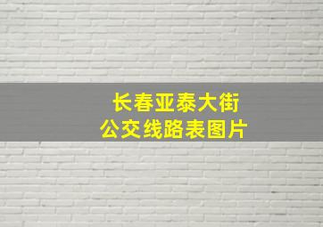 长春亚泰大街公交线路表图片