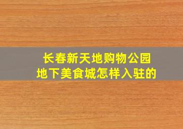 长春新天地购物公园地下美食城怎样入驻的