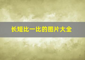 长短比一比的图片大全