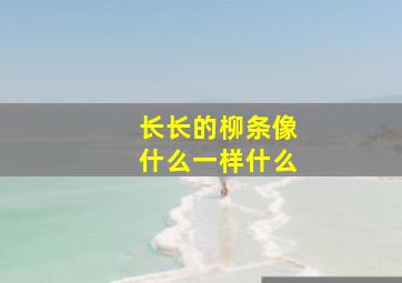 长长的柳条像什么一样什么