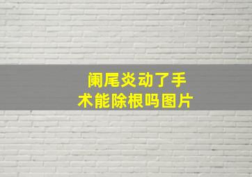 阑尾炎动了手术能除根吗图片