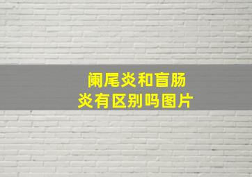 阑尾炎和盲肠炎有区别吗图片