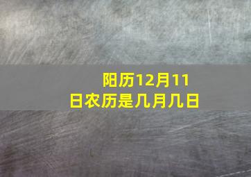 阳历12月11日农历是几月几日